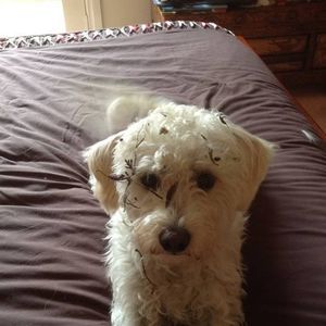 Meet your Posher, Sharyn